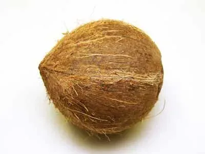 Kokosöl Zahnpasta