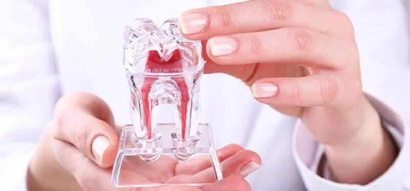 Heilung des Zahnfleisches