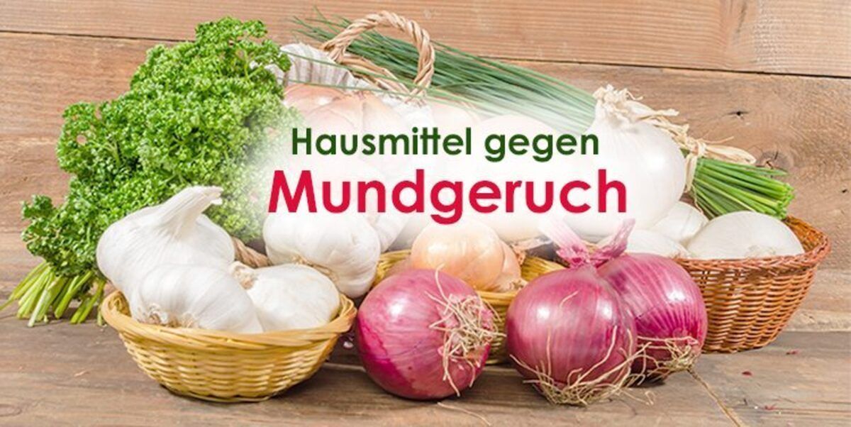 mundgeruch hausmittel