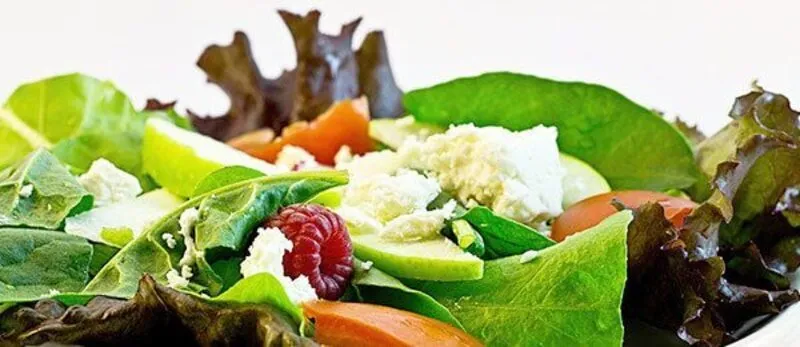 Salat enthält viele Vitamine